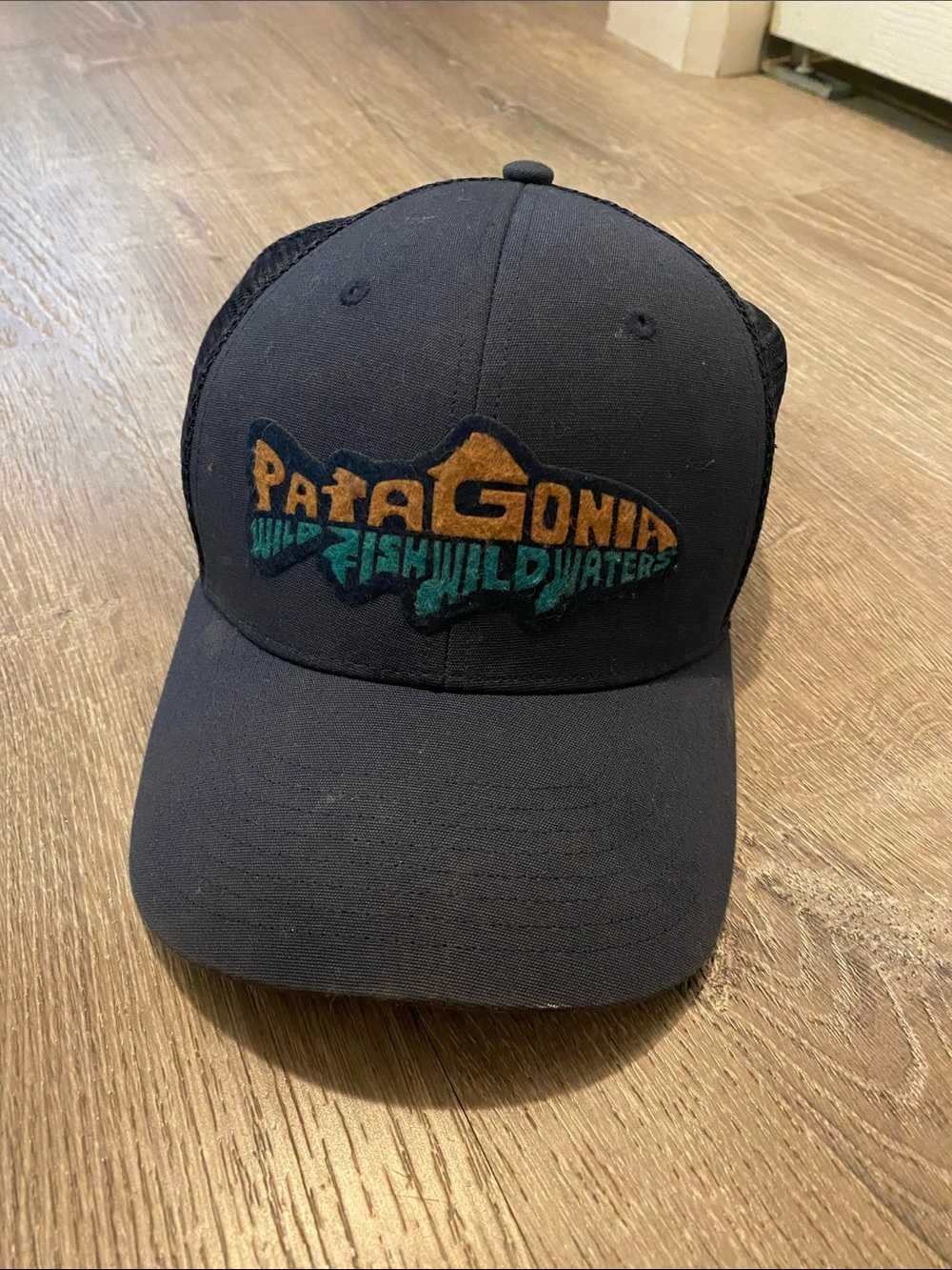 Patagonia SnapBack Navy Trucker Hat